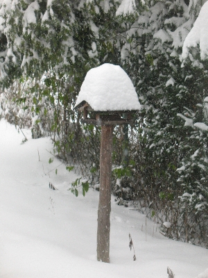 verschneites vogelhaus1.JPG